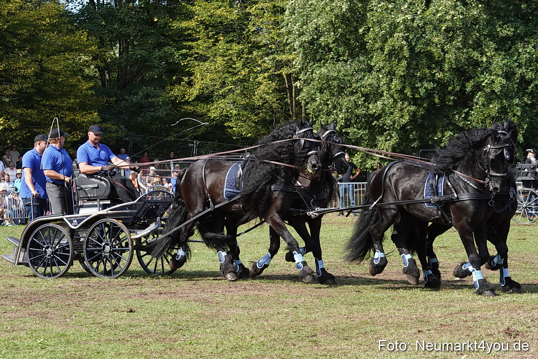 Pferde und Fohlenschau 2022 0208 